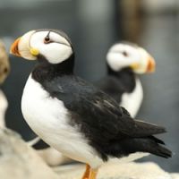 Business image 7