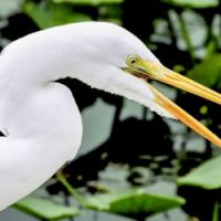 Business image 11