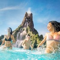 Business image 9