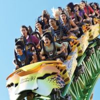 Business image 5