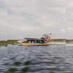 Business image 4