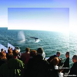 Business image 2