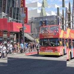 Business image 6