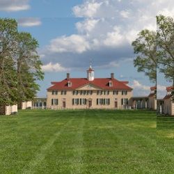 Business image 5