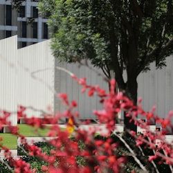 Business image 6