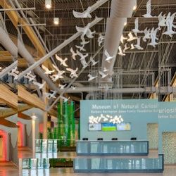 Business image 3