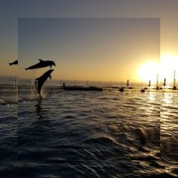 Business image 1