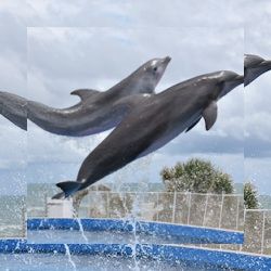 Business image 10