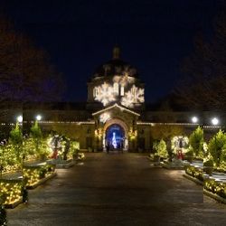 Business image 4