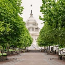 Business image 7
