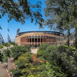 Business image 5