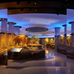 Business image 7