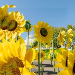 Business image 10