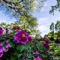 Business image 14