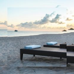 attraction