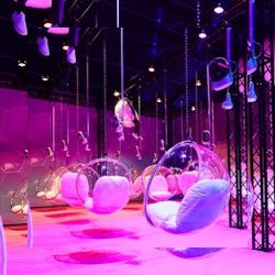Business image 3