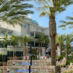Business image 5