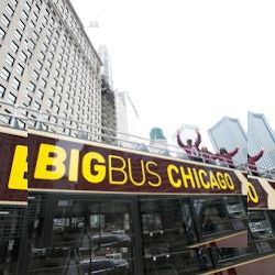 Business image 4