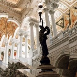 Business image 16