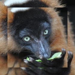 Business image 13