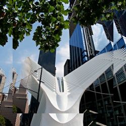 Business image 5