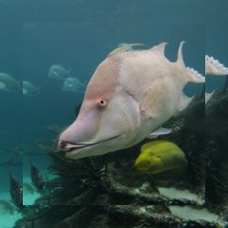 Business image 6