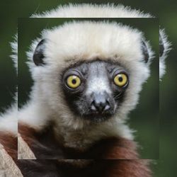 Business image 4