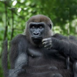Business image 6