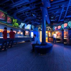 Business image 6