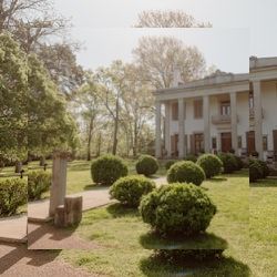 Business image 4