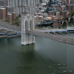 Business image 5
