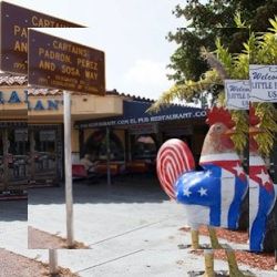 Business image 3