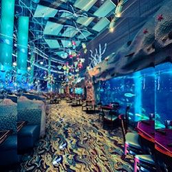 Business image 7