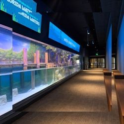 Business image 8