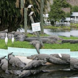Business image 5