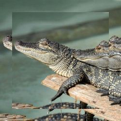 Business image 15