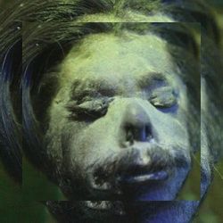 Business image 7
