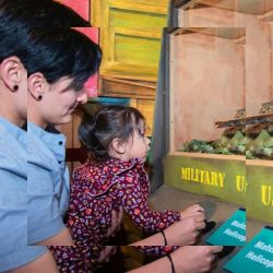 attraction