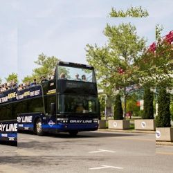 Business image 4