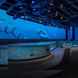 Business image 2