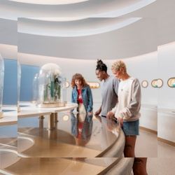 Business image 3
