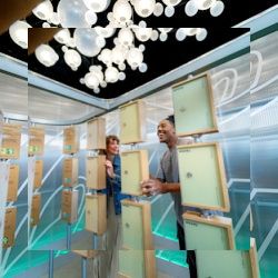 Business image 8