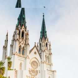 Business image 4