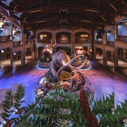 Business image 7