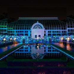Business image 4