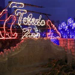 Business image 7