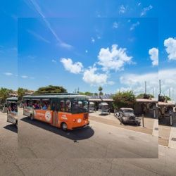 Business image 13