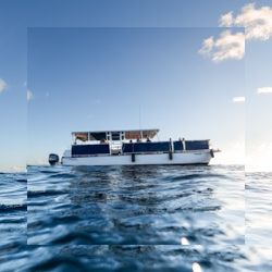 Business image 1