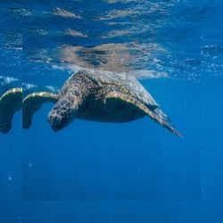 Business image 14
