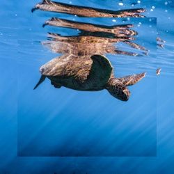 Business image 13